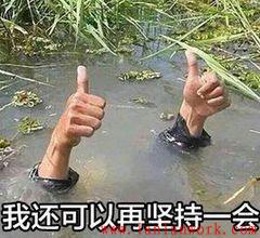 點擊查看原圖 v2-185fffb8ff50312a5c65e46d36484086_1440w.jpg